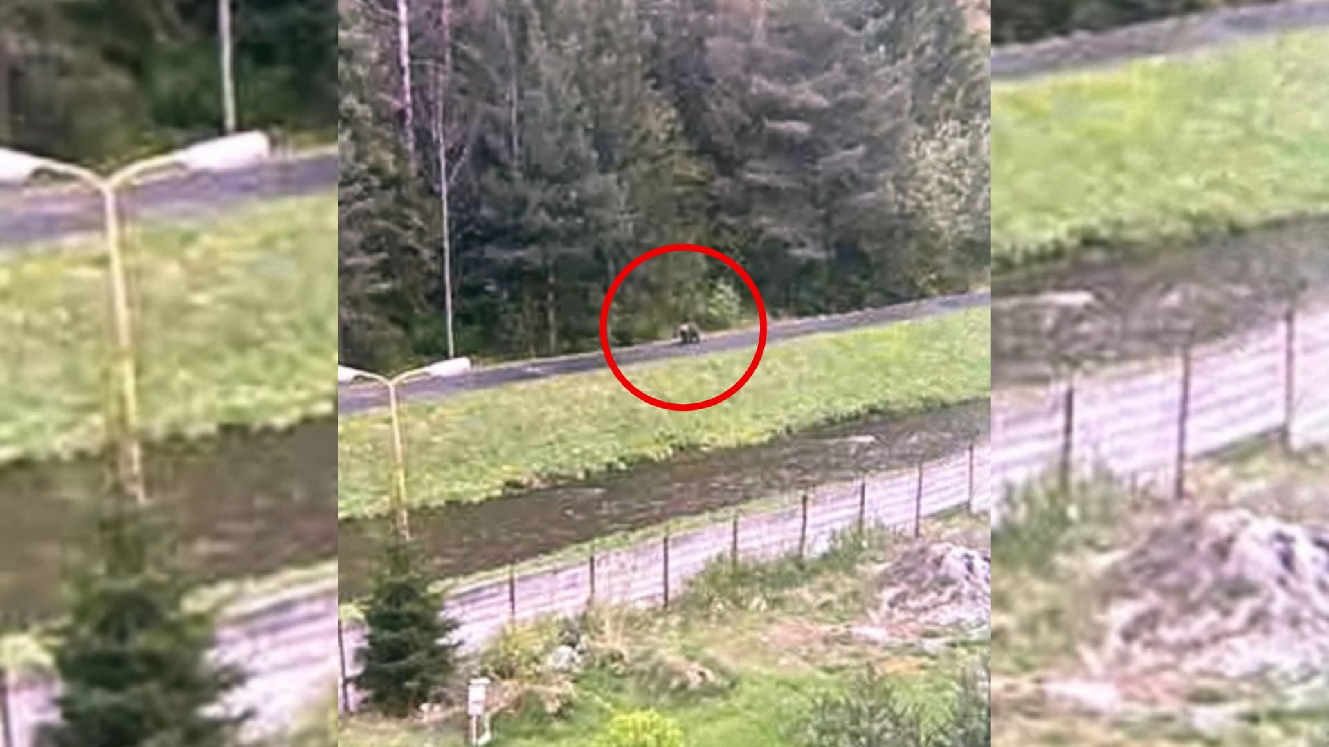 Na cyklochodníku spozorovali medveďa, polícia zvyšuje nočné hliadky