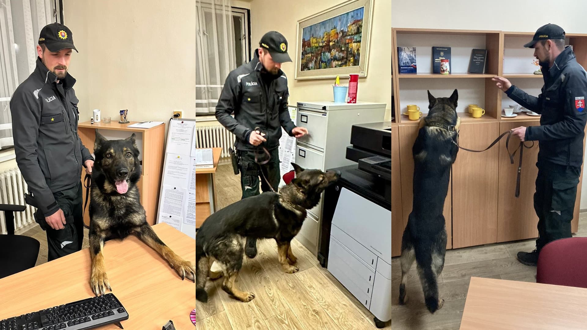 Polícia dohliada na nerušený priebeh volieb. Dohliadne aj na správne sčítavanie hlasov