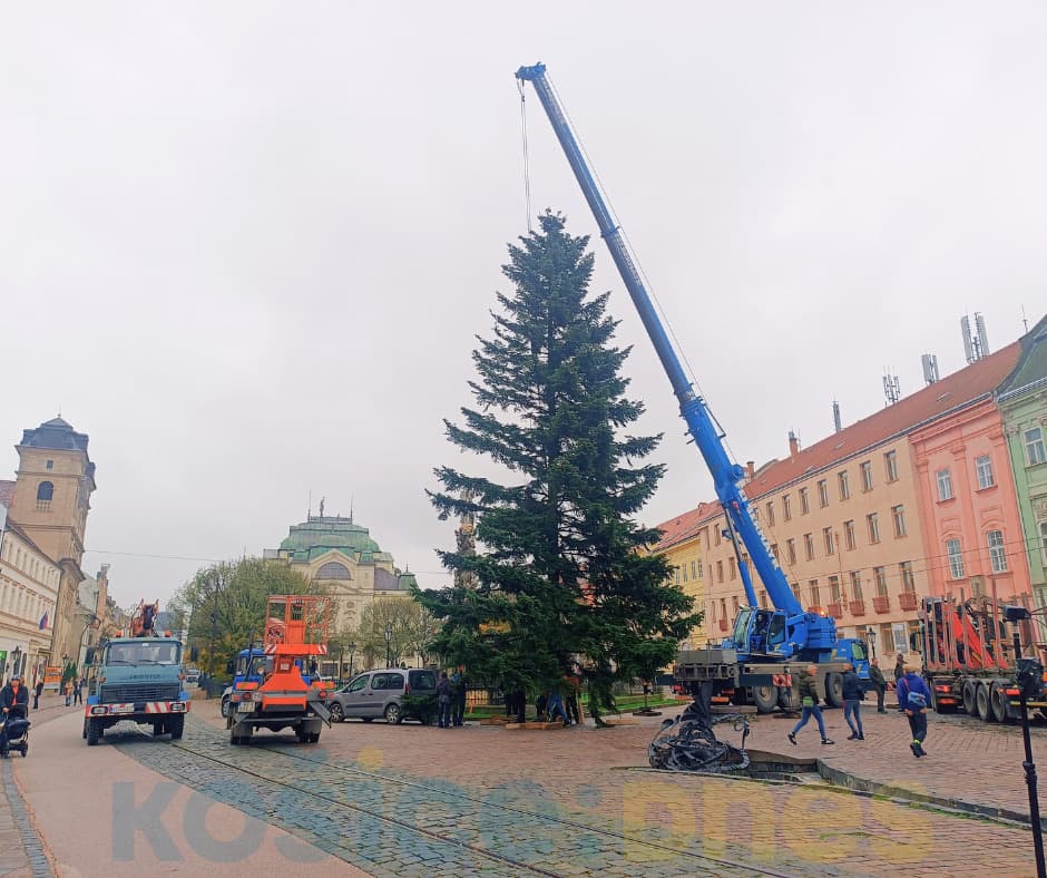 Vianočný stromček už stojí na svojom čestnom mieste (FOTO)