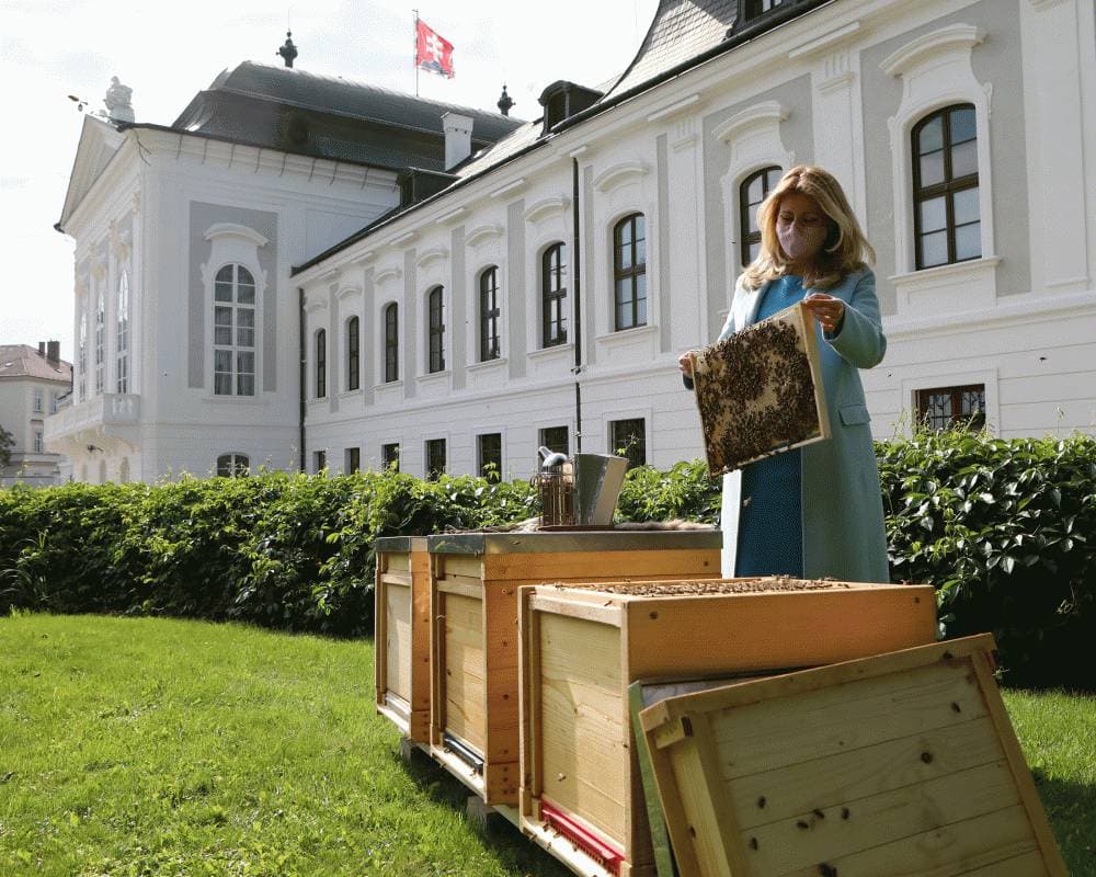 Prezidentka sa usiluje o prvú uhlíkovo neutrálnu verejnú inštitúciu. Zaviedla tieto NOVINKY