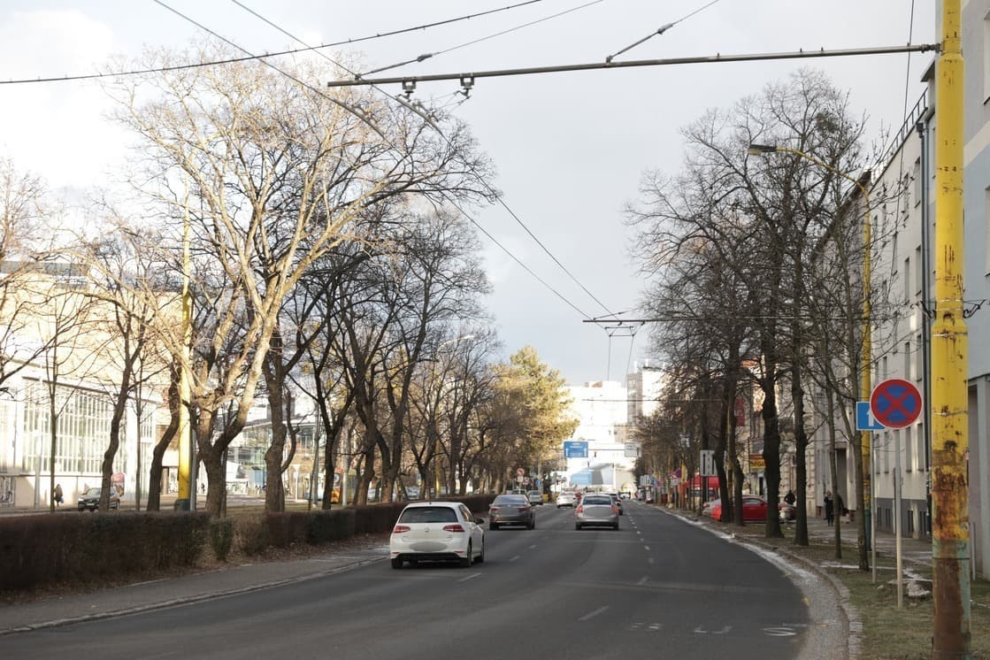 Na Štúrovej bude menej zelene. Odstráni sa niekoľko stromov