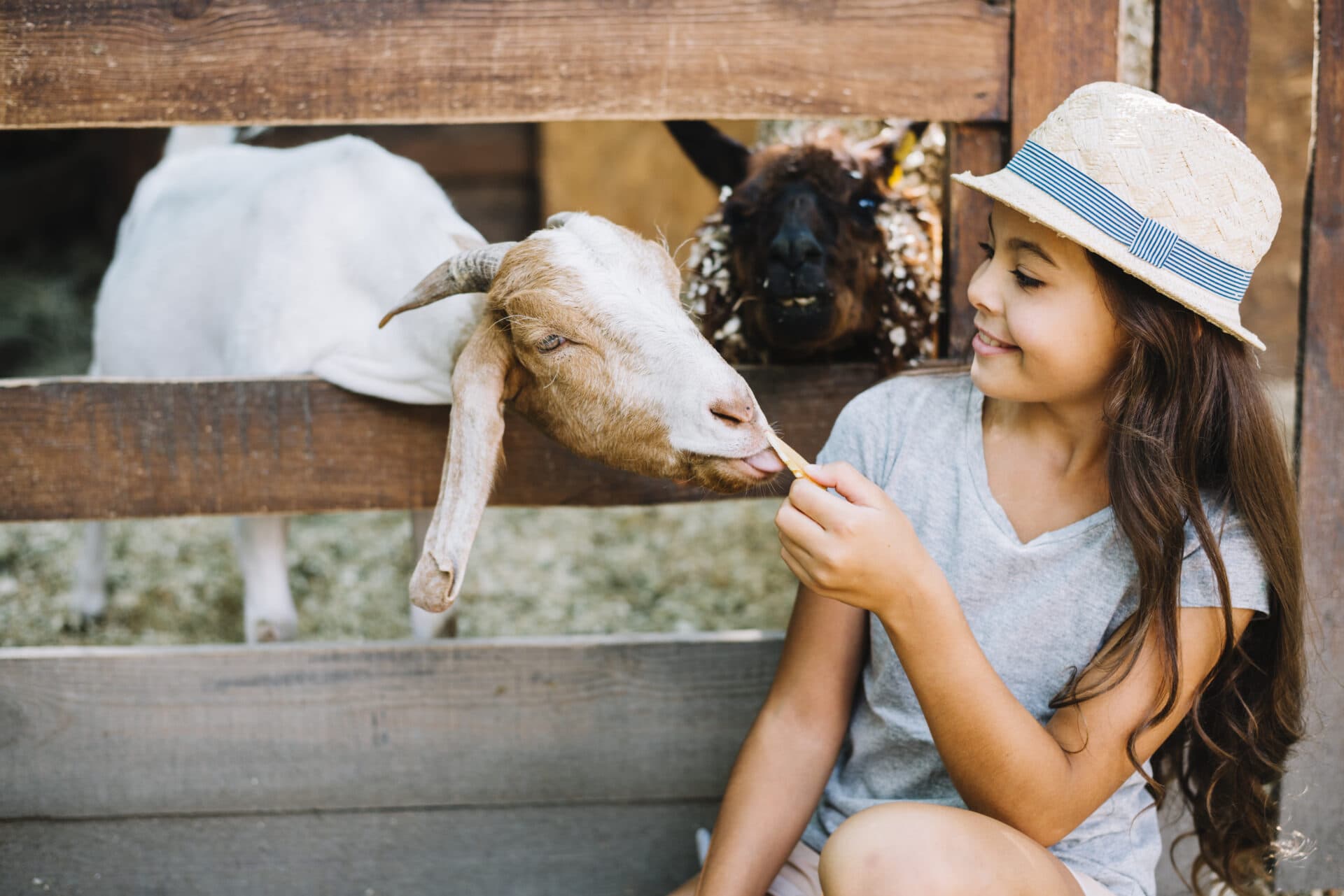 Veterinárna univerzita otvorí svoju vlastnú škôlku, vyniká jedinečným konceptom