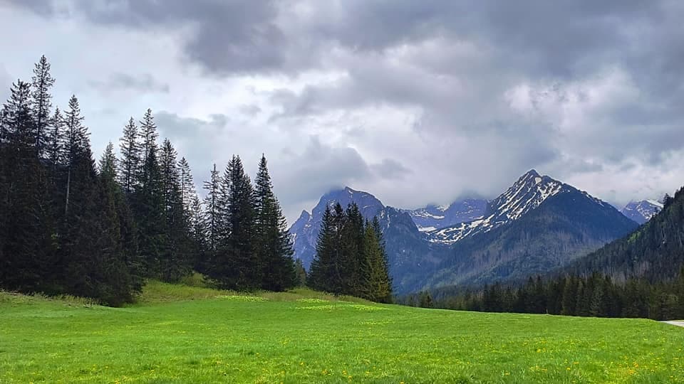 Bude Turistika v Tatrách pre psíčkarov dostupnejšia?