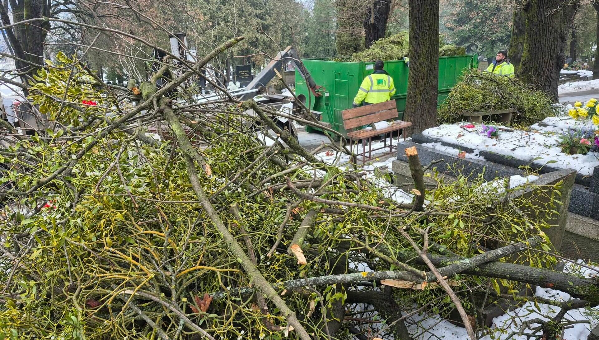 Správa mestskej zelene odstraňuje škody na verejnom cintoríne