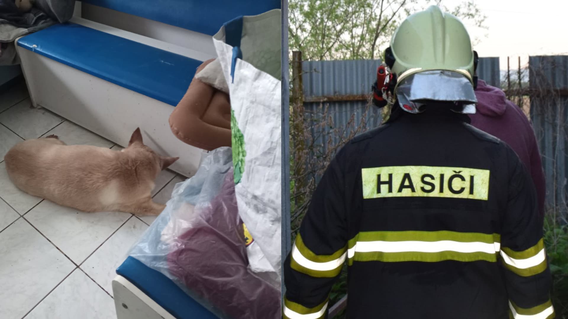 Tragédia na Moldavskej ulici! Hasiči zachránili psíka, majiteľke už pomôcť nedokázali