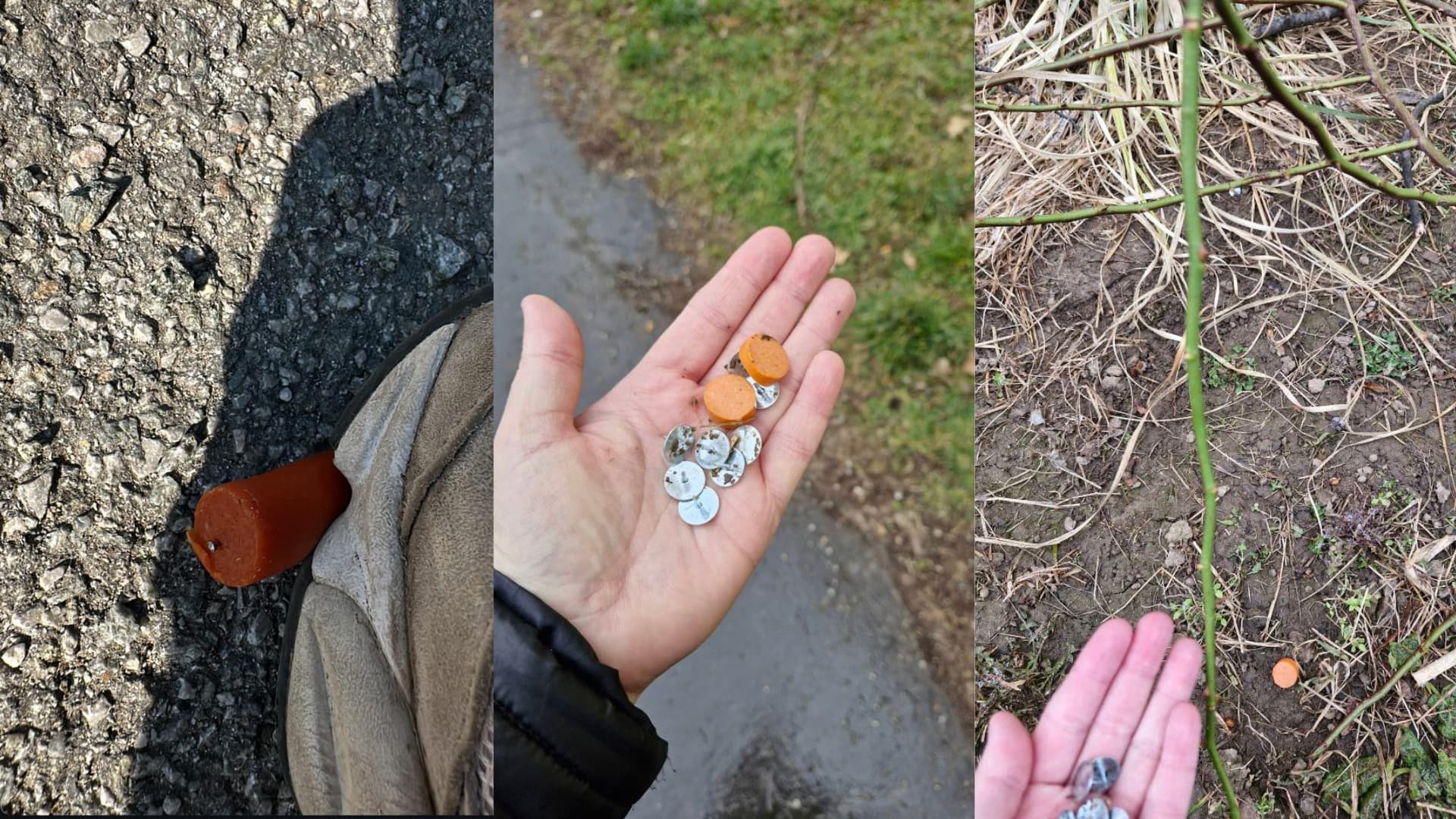 Psíčkari dávajte si pozor! Niekto rozhadzuje po košických sidliskách nástrahy pre psov