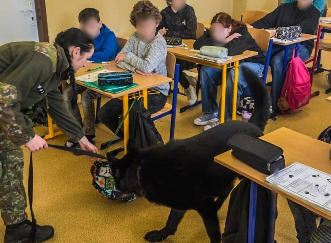 Polícia preverovala prítomnosť drog na škole vo Veľkých Kapušanoch (FOTO)