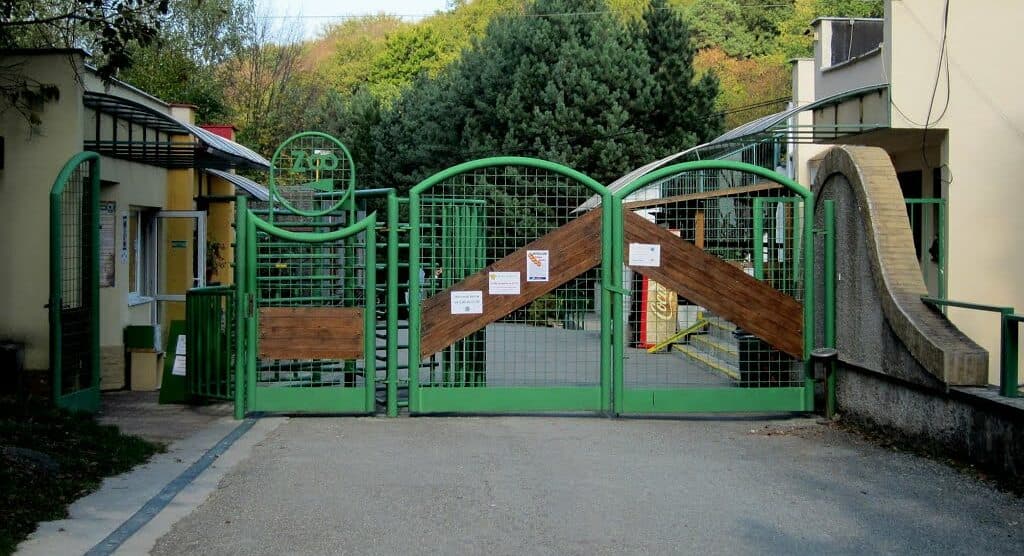ZOO Košice eviduje v dôsledku slintačky a krívačky straty vo výške 200-tisíc eur